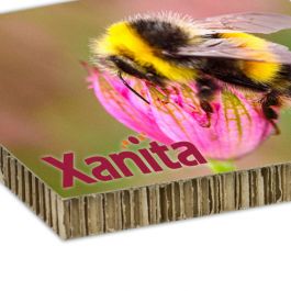 Reboard / Xanita Board - Direct to Board Printing and Cutting